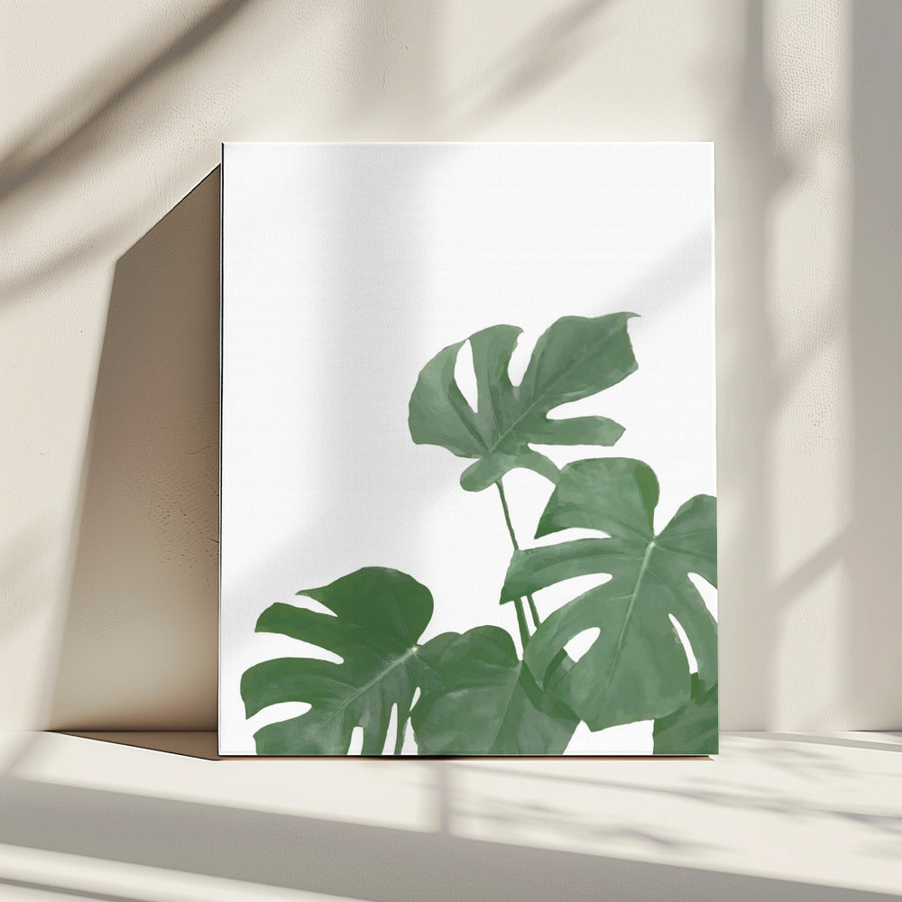 Monstera Aqua 04 | Canvas