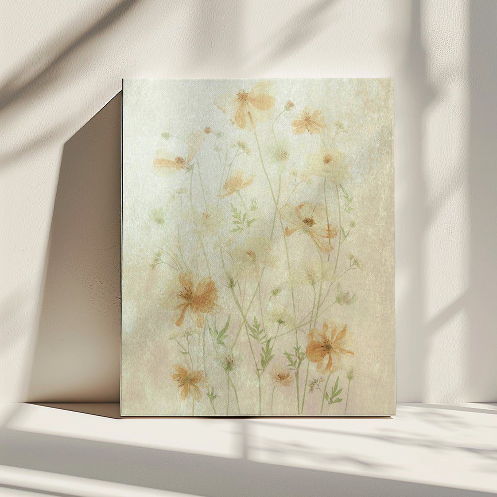 Yellow Cosmos | Canvas