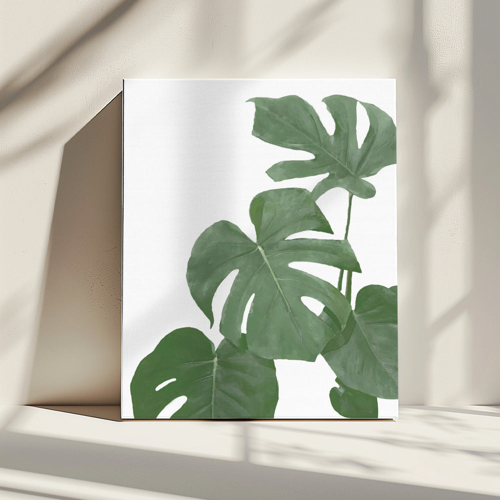Monstera Aqua 03 | Canvas