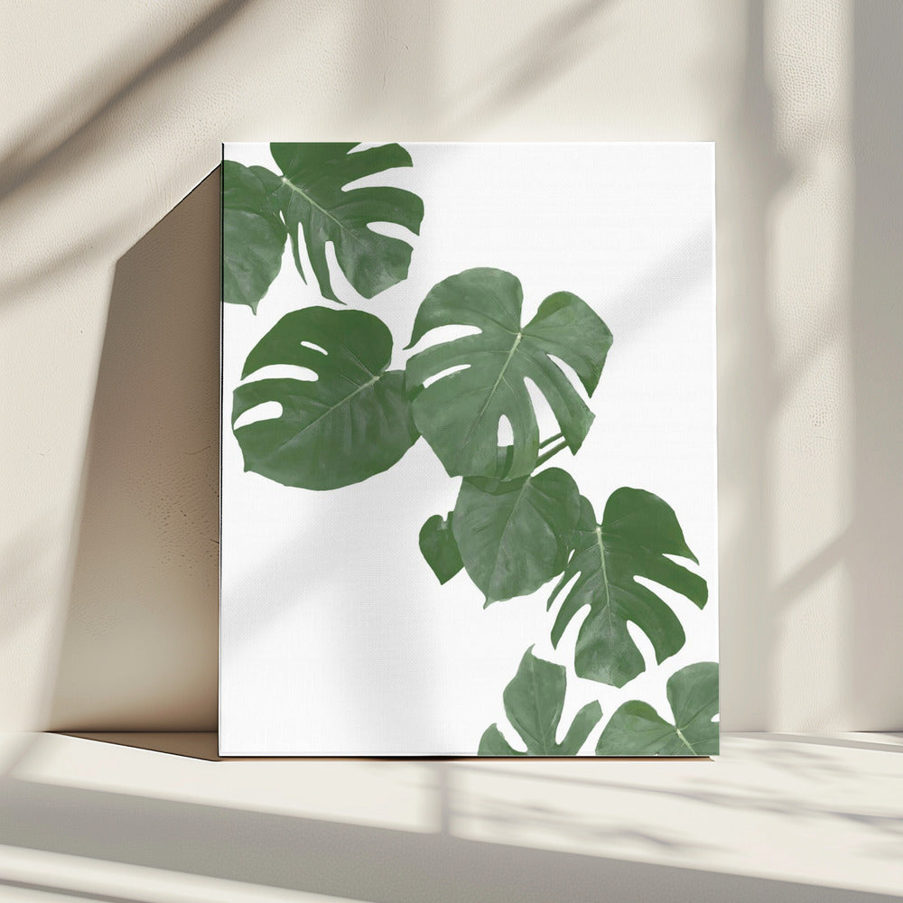 Monstera Aqua 02 | Canvas