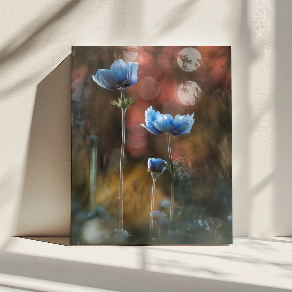 A riot of colors in a grey and dreary world | Canvas