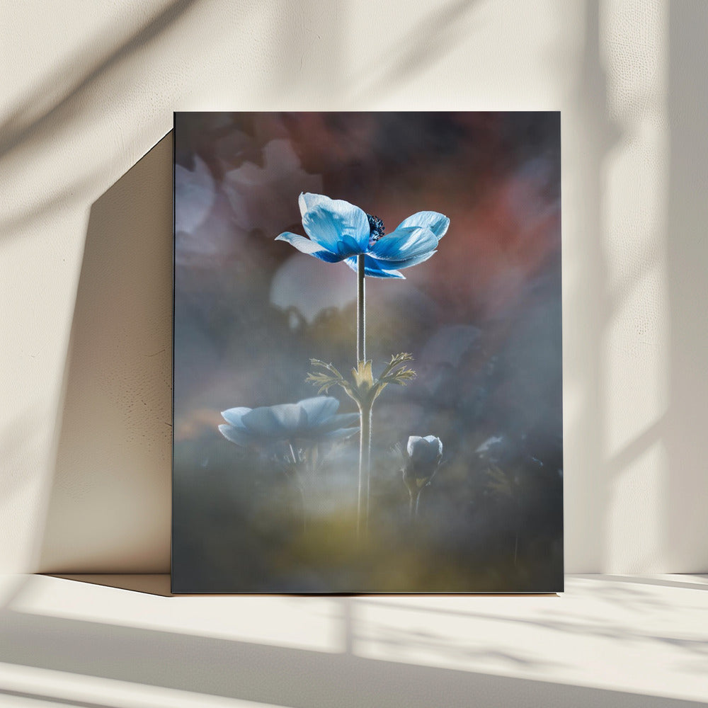 Blossom like a flower | Canvas