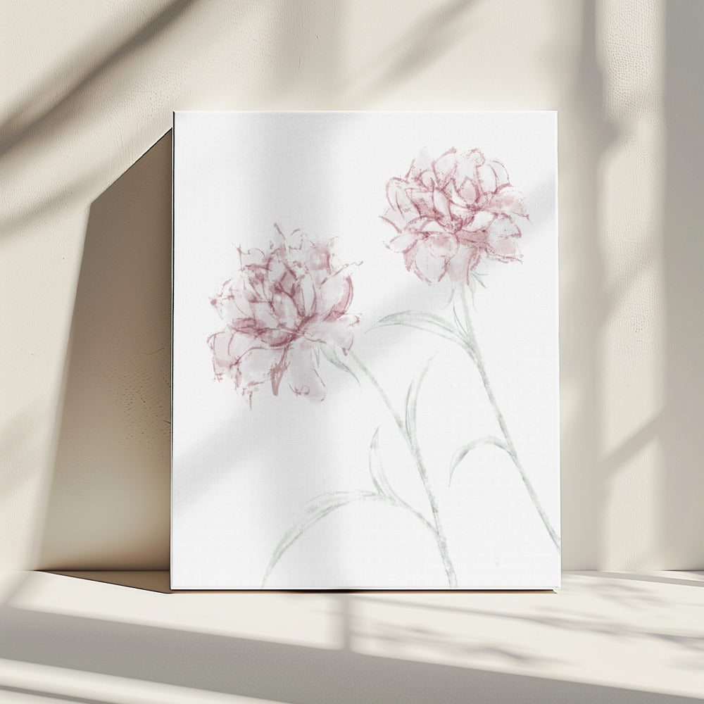 Peony 03 | Canvas