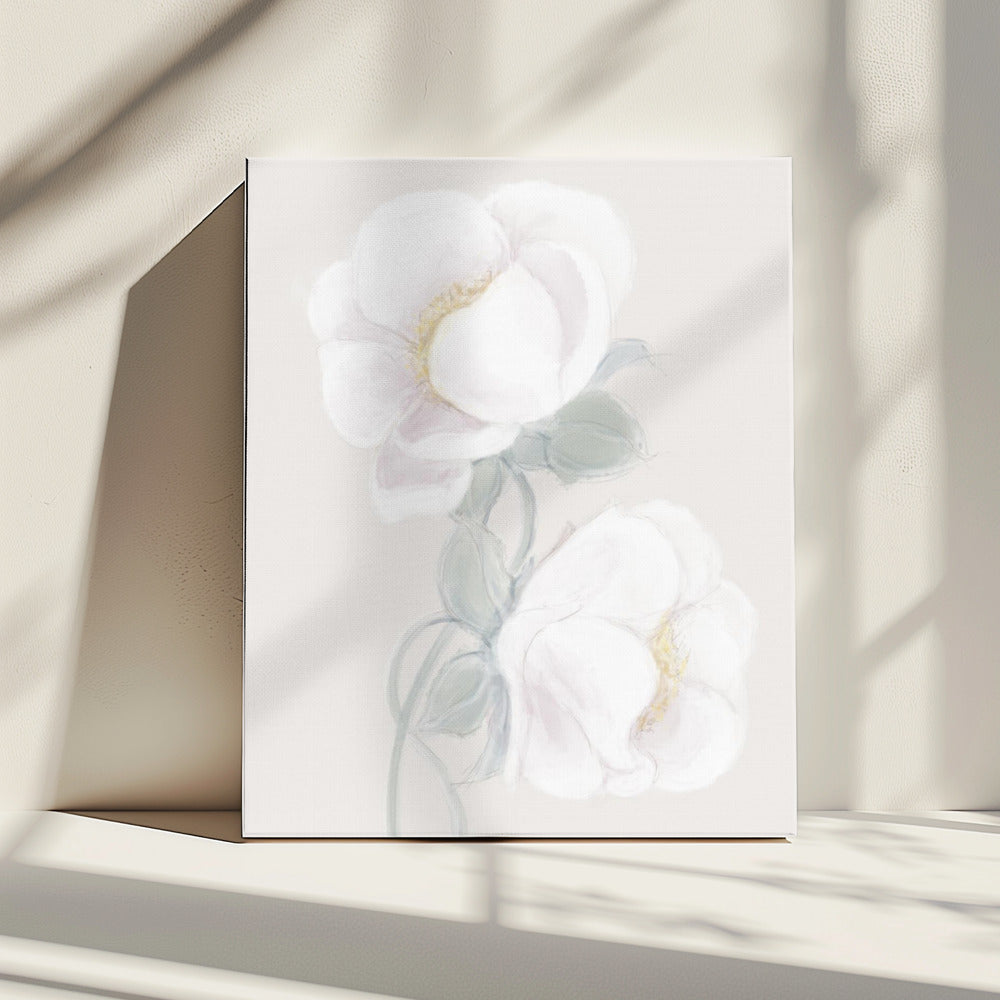 Lush Peony | Canvas