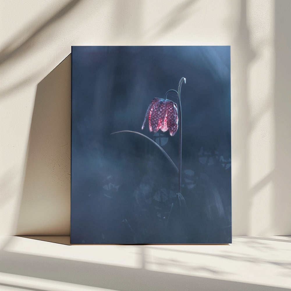 Ephemeral Fantasy | Canvas