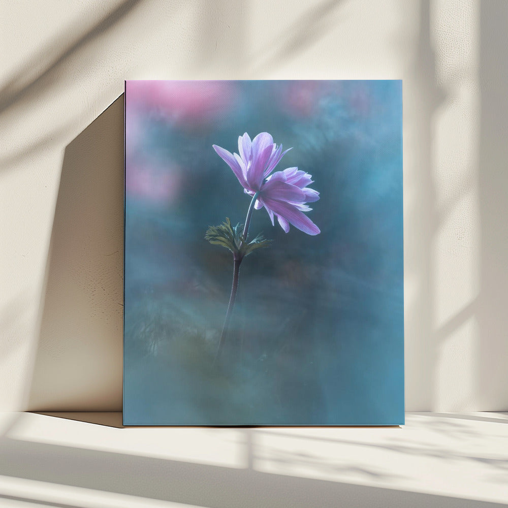 Never ending days | Canvas