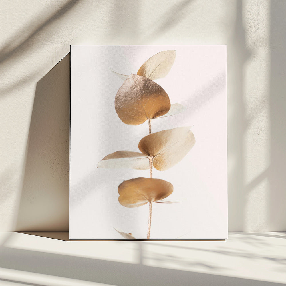 Eucalyptus Gold No 06 | Canvas