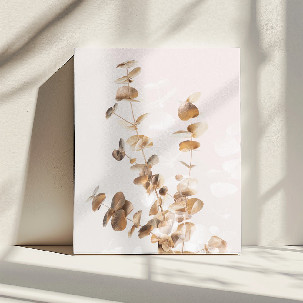 Eucalyptus Creative Gold 03 | Canvas
