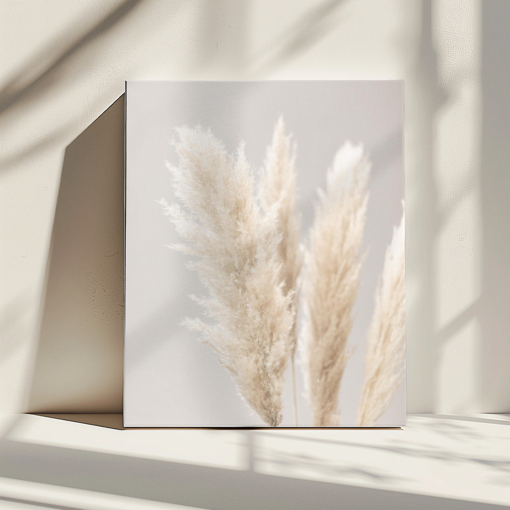 Pampas Grass Grey 02 | Canvas