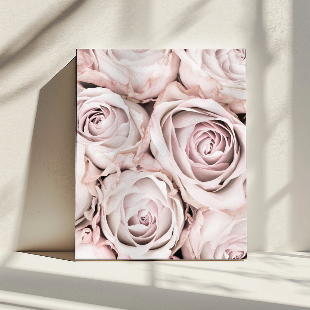 Pink Roses No 01 | Canvas