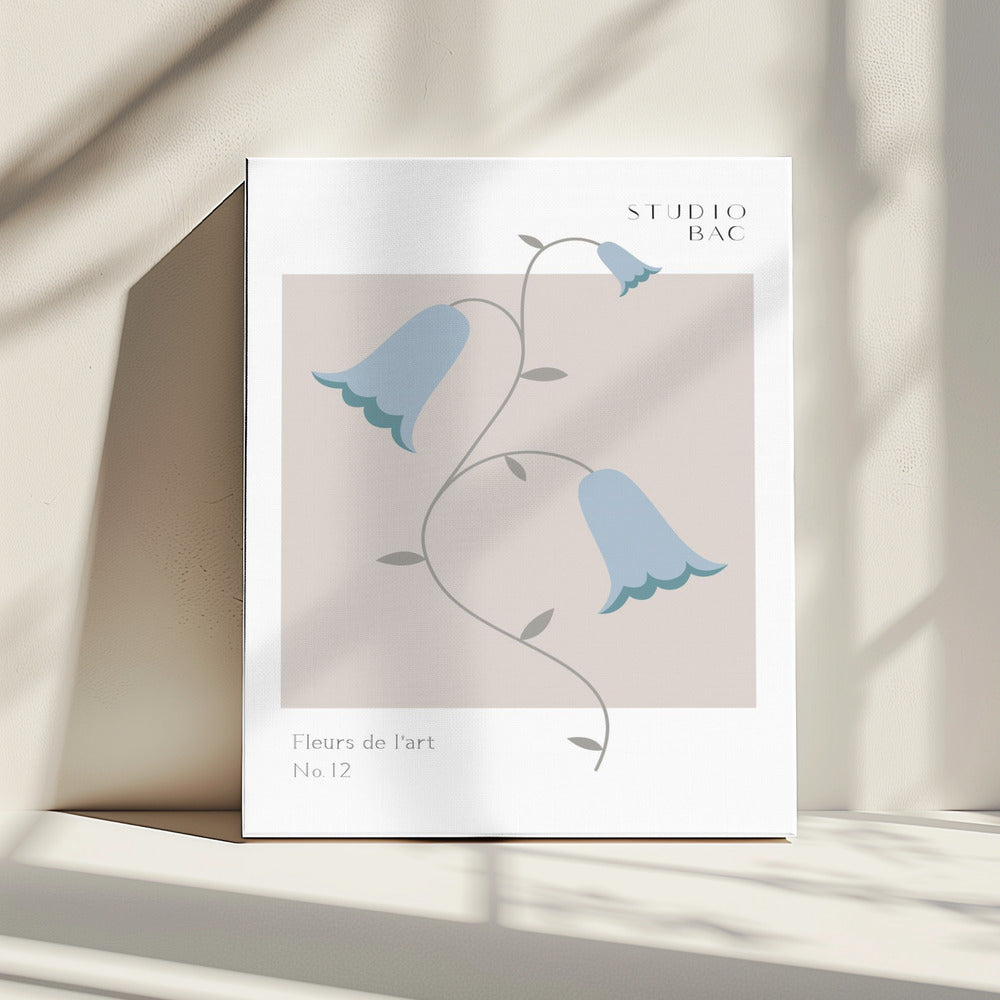 Bluebells Studio Bac | Canvas