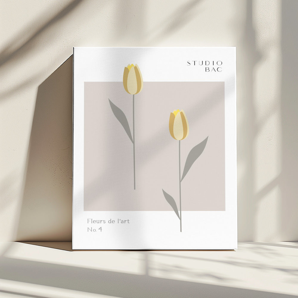 Tulips Studio Bac | Canvas
