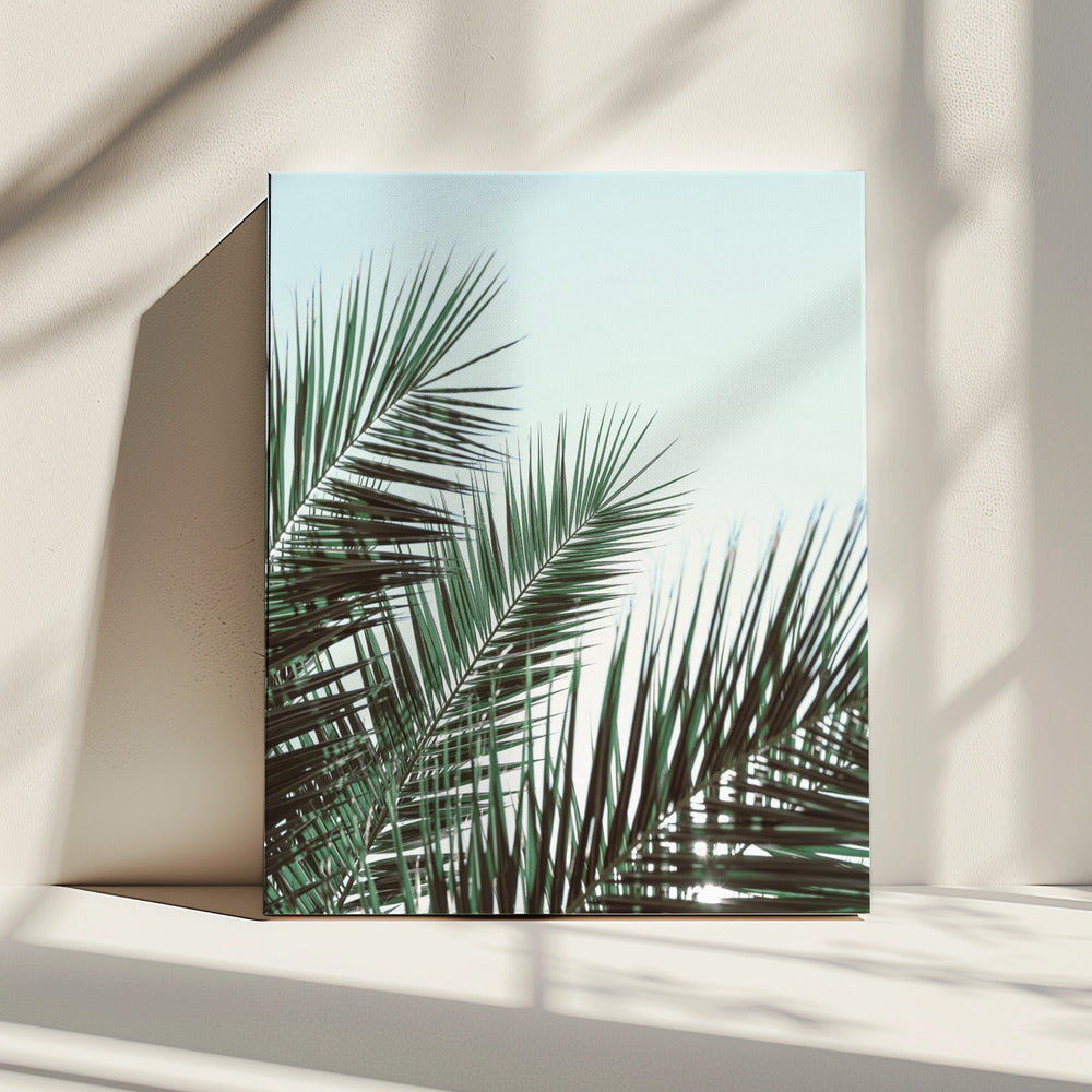 Palm leaves, sky_1 | Canvas