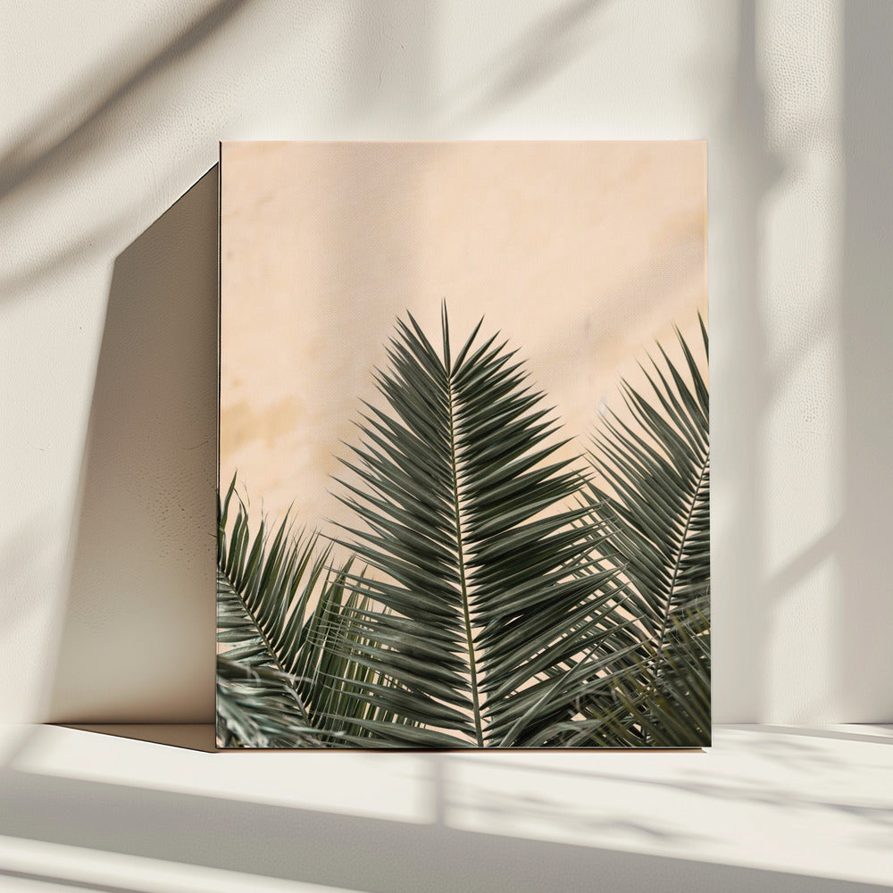 Palm leaves and wall_1 | Canvas