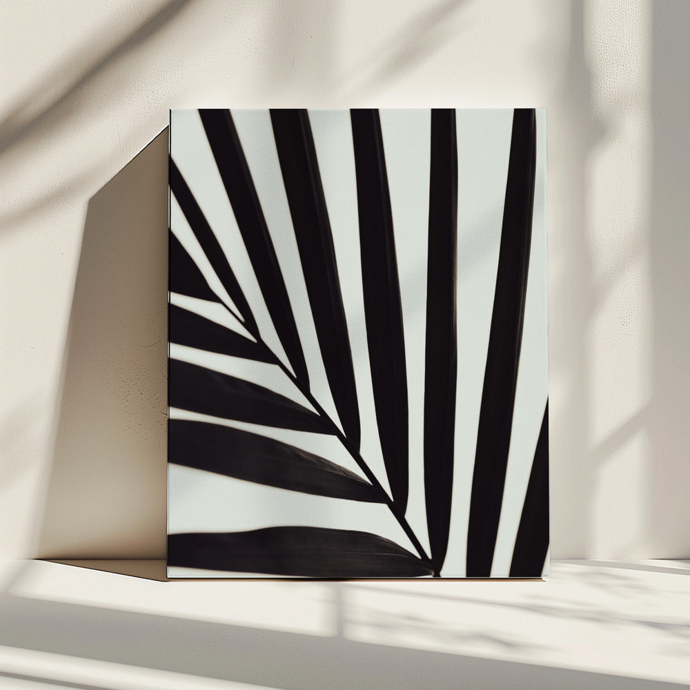 Graphic palm leaf_1 | Canvas