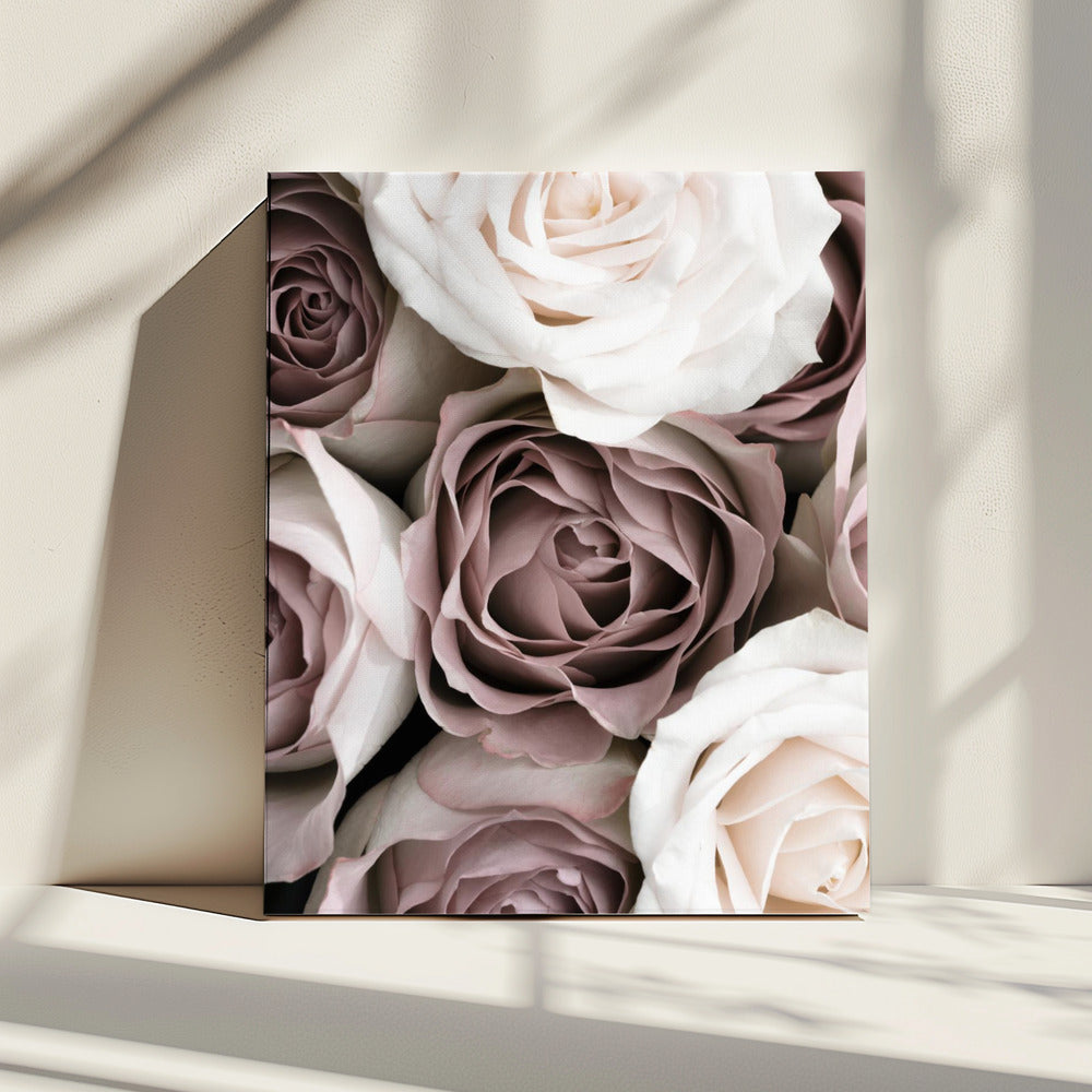 Roses | Canvas