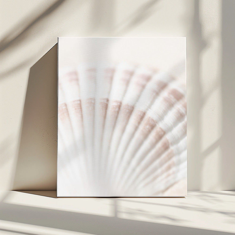 Shell | Canvas