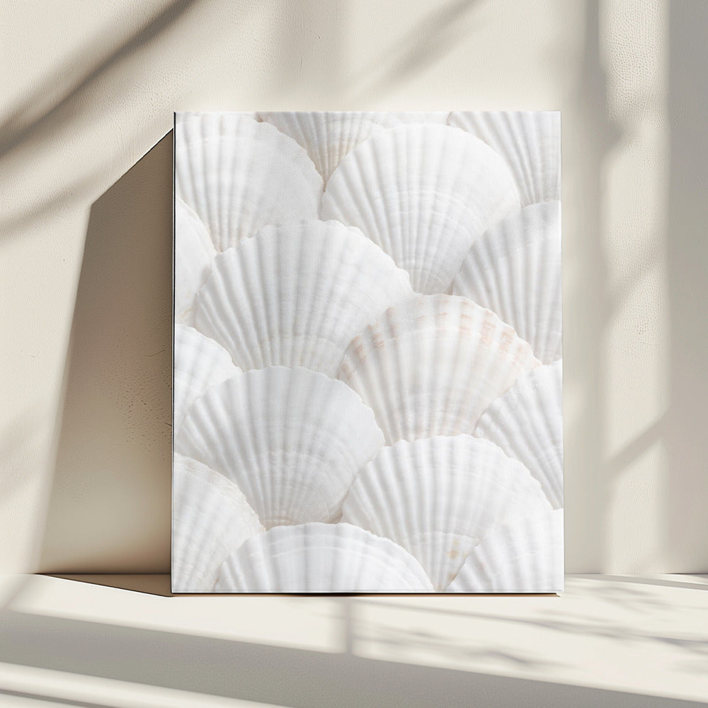 Shells_3 | Canvas
