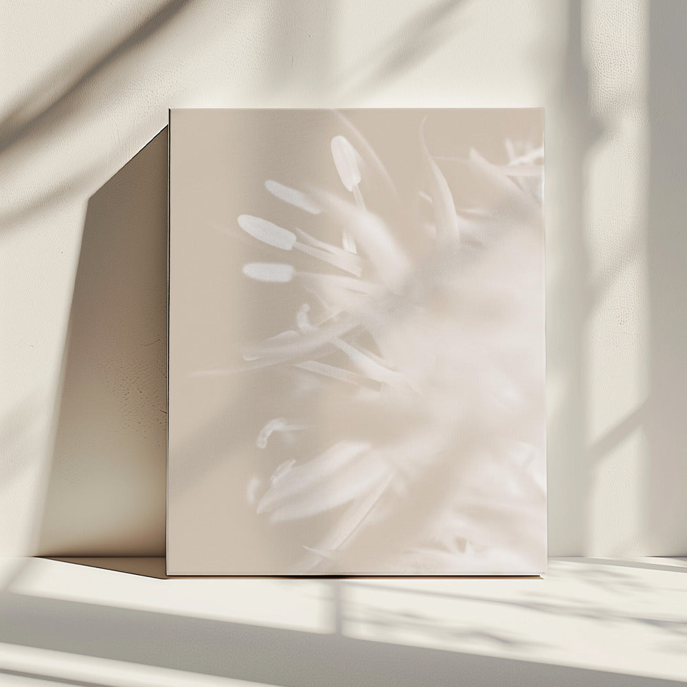 Flower Beige_1 | Canvas
