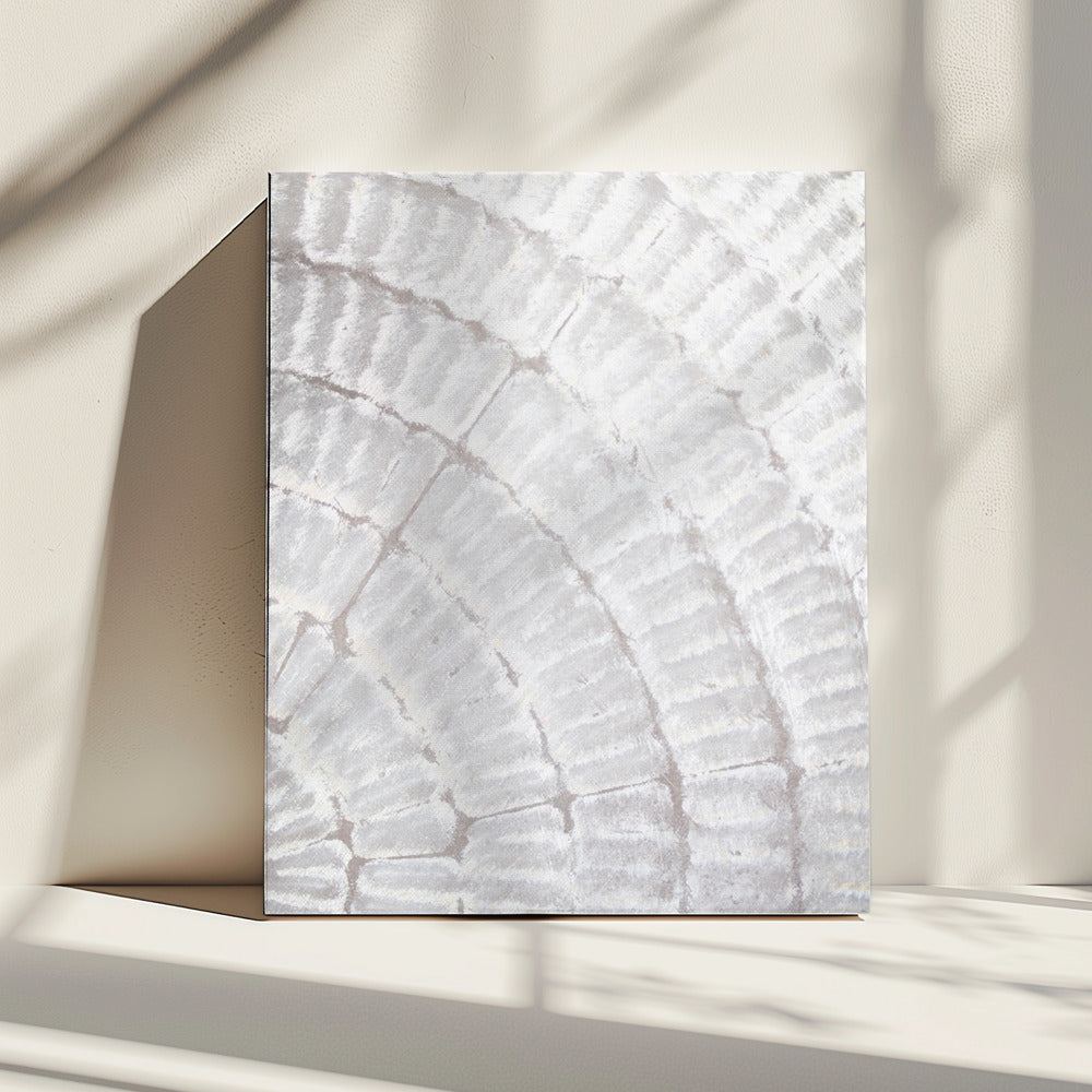 Pattern plate_grey_2 | Canvas