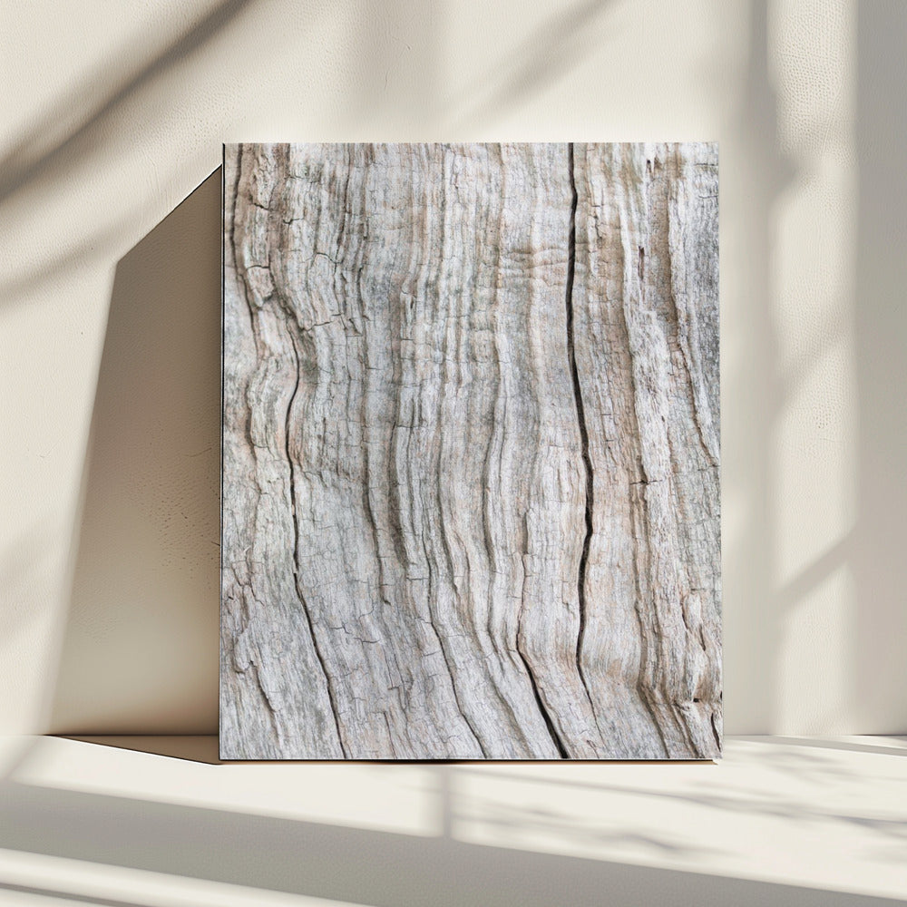 Wood Pattern | Canvas