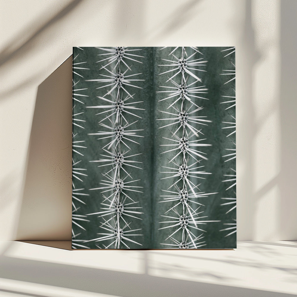 Cactus green | Canvas