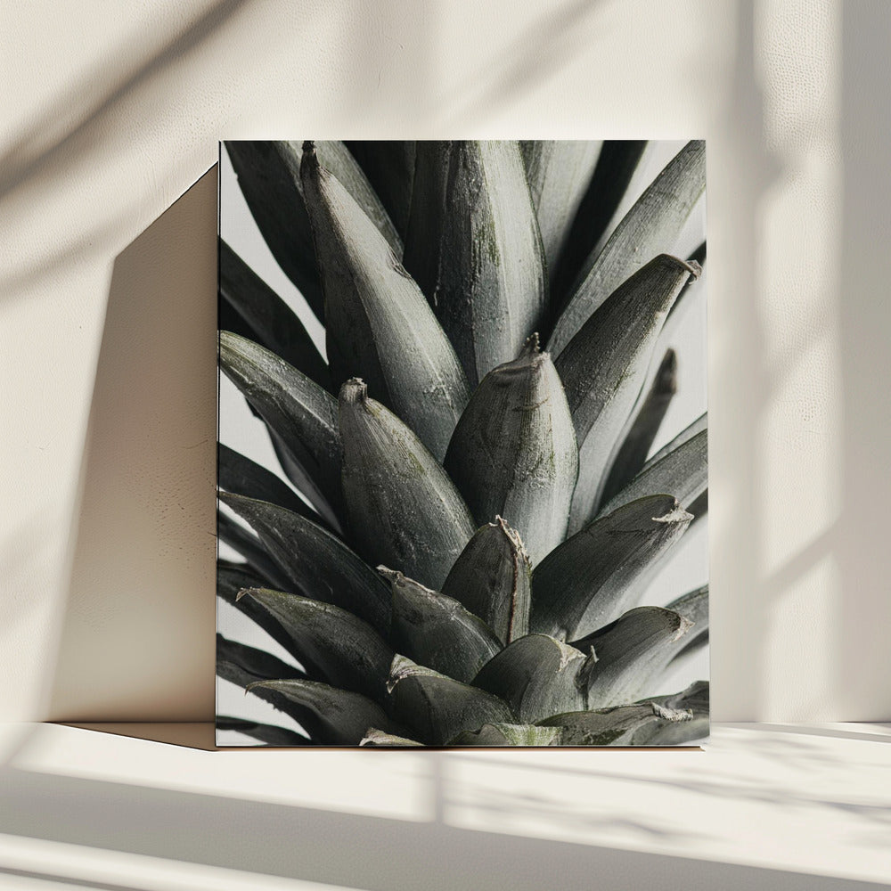 Pineapple close up | Canvas