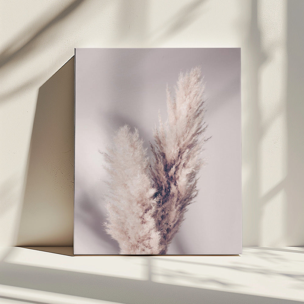 Pampas Grass | Canvas
