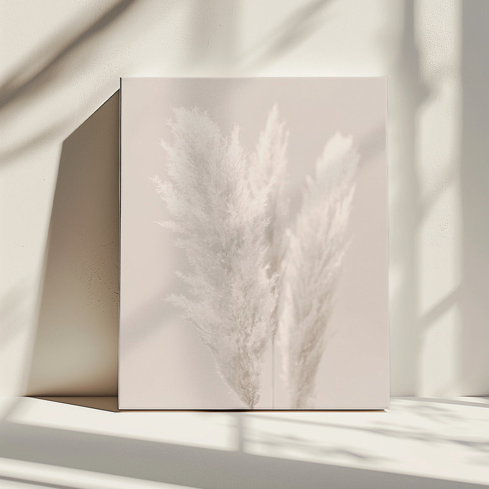 Pampas Grass_002 | Canvas