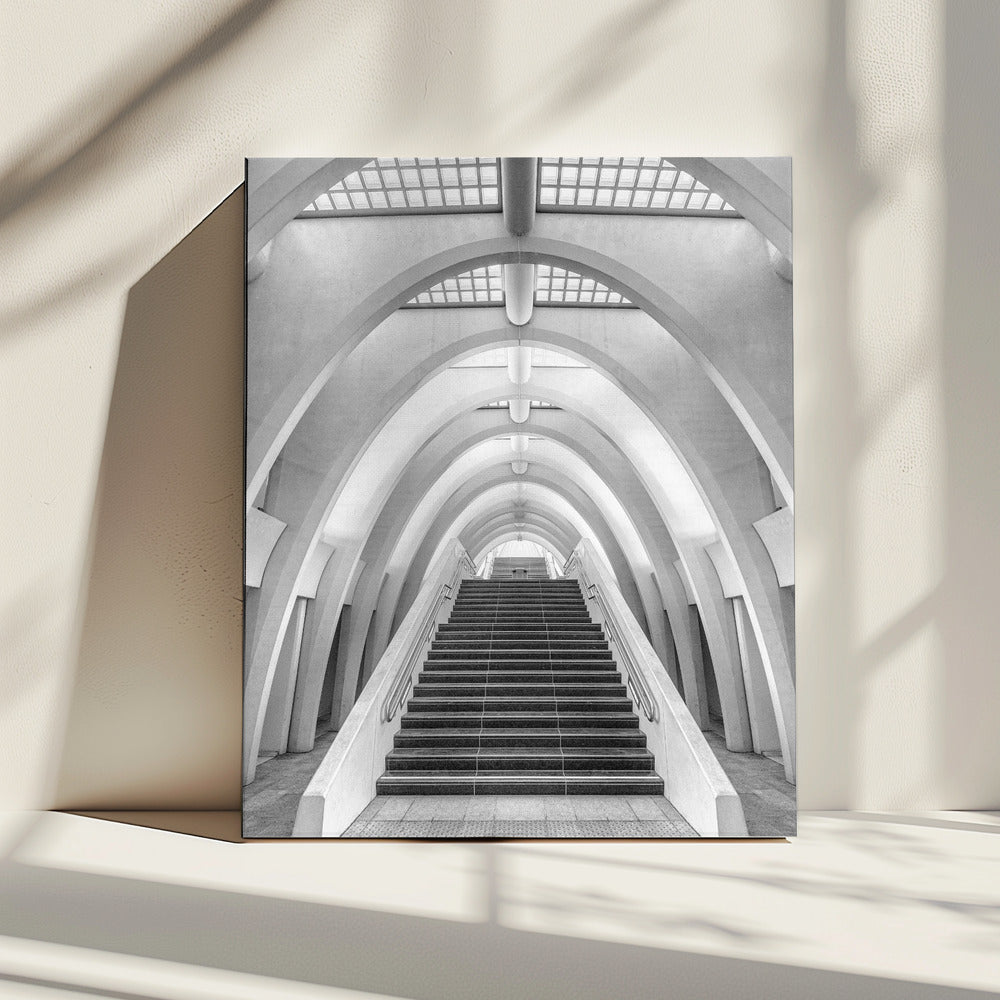Calatrava lines | Canvas