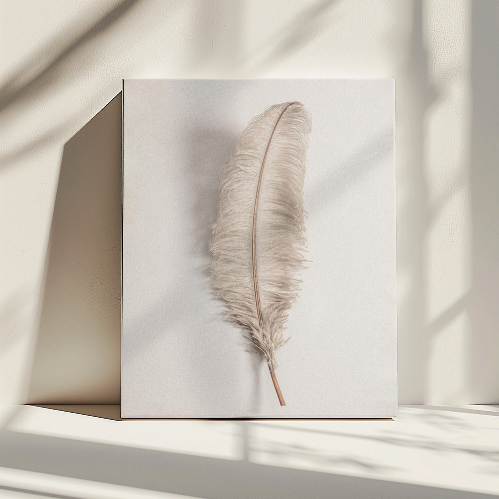Feather_002 | Canvas