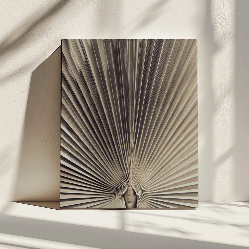 Palmblad_001 | Canvas