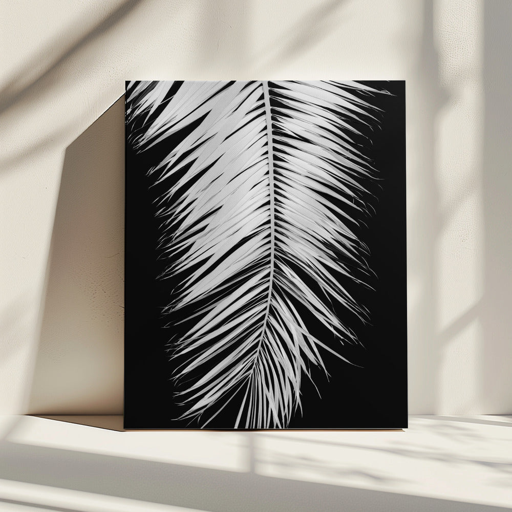 Palmblad_004 | Canvas