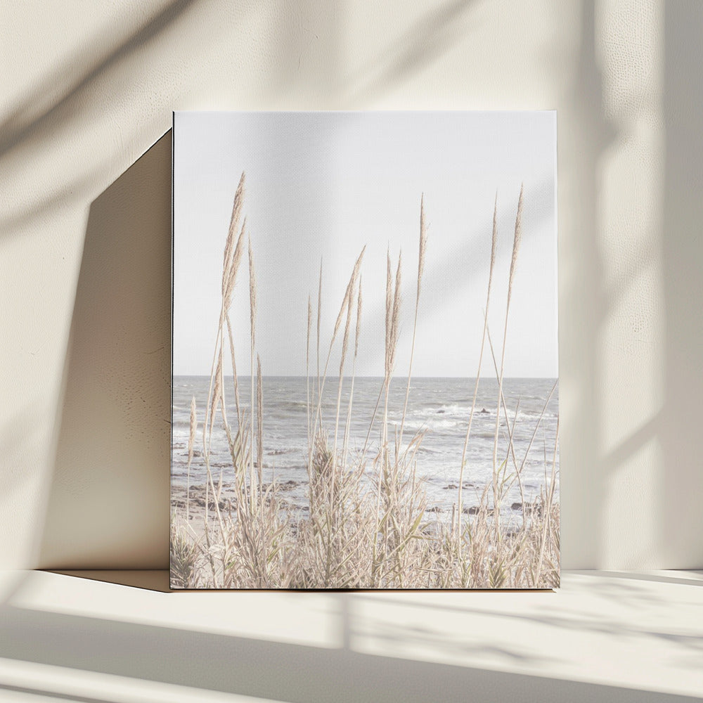 Beach_Vass_001 | Canvas