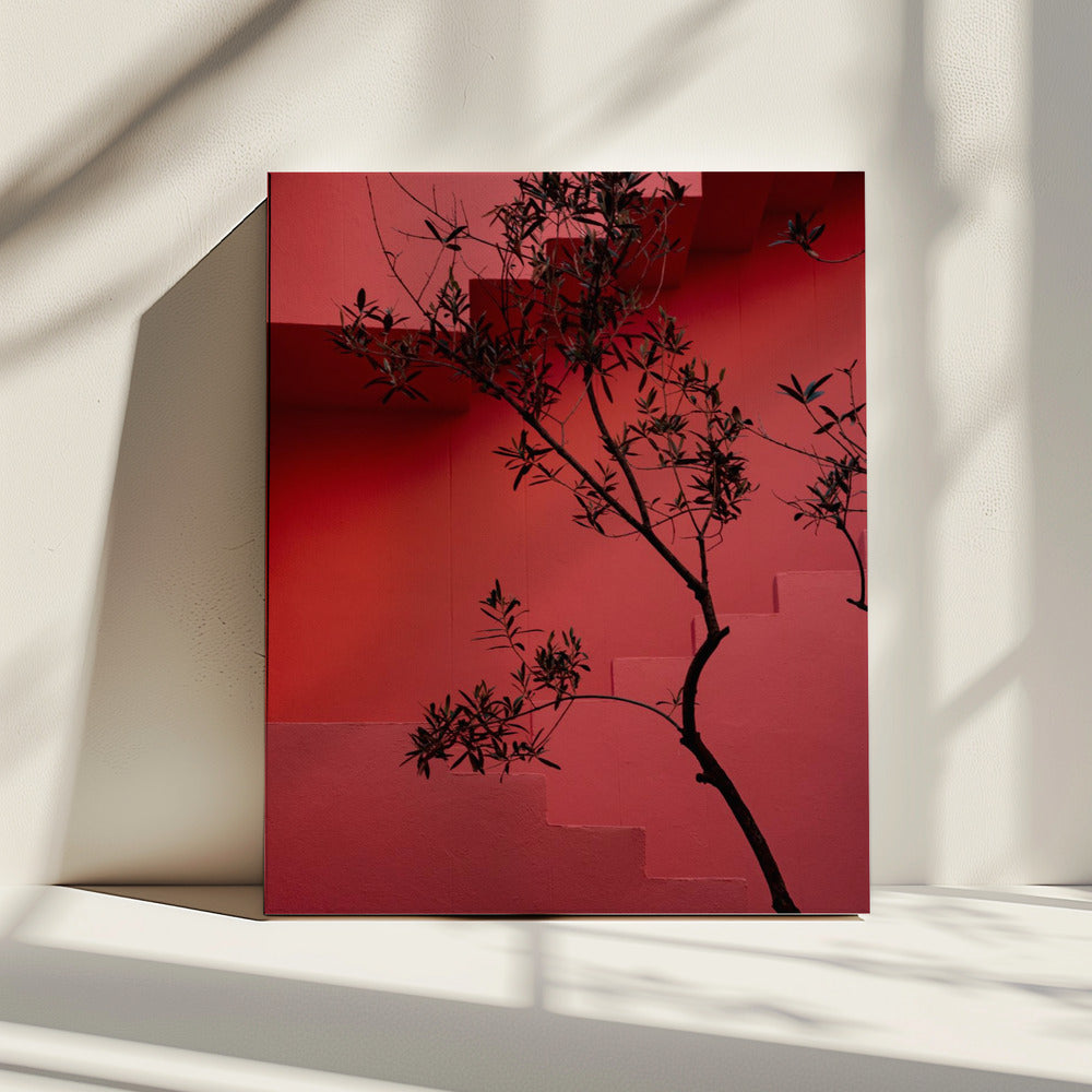 Muralla Roja #14 | Canvas