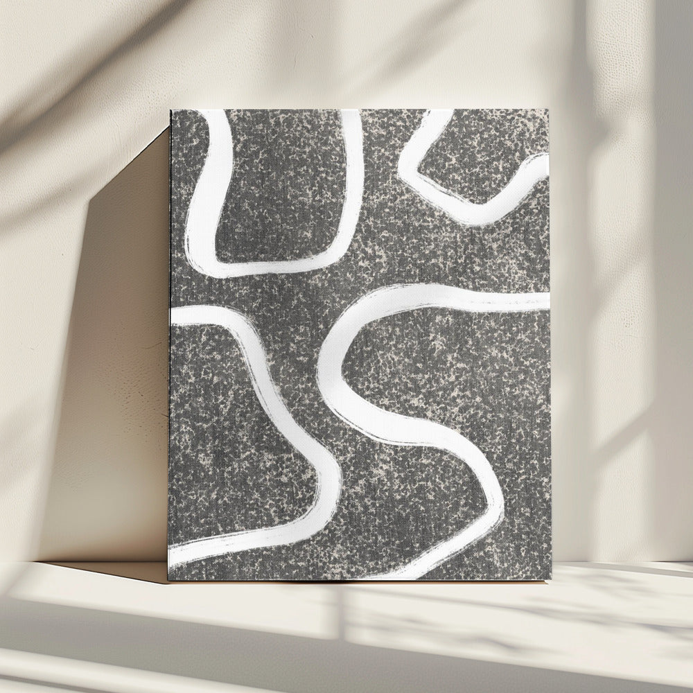 Curves in Contrast | Canvas