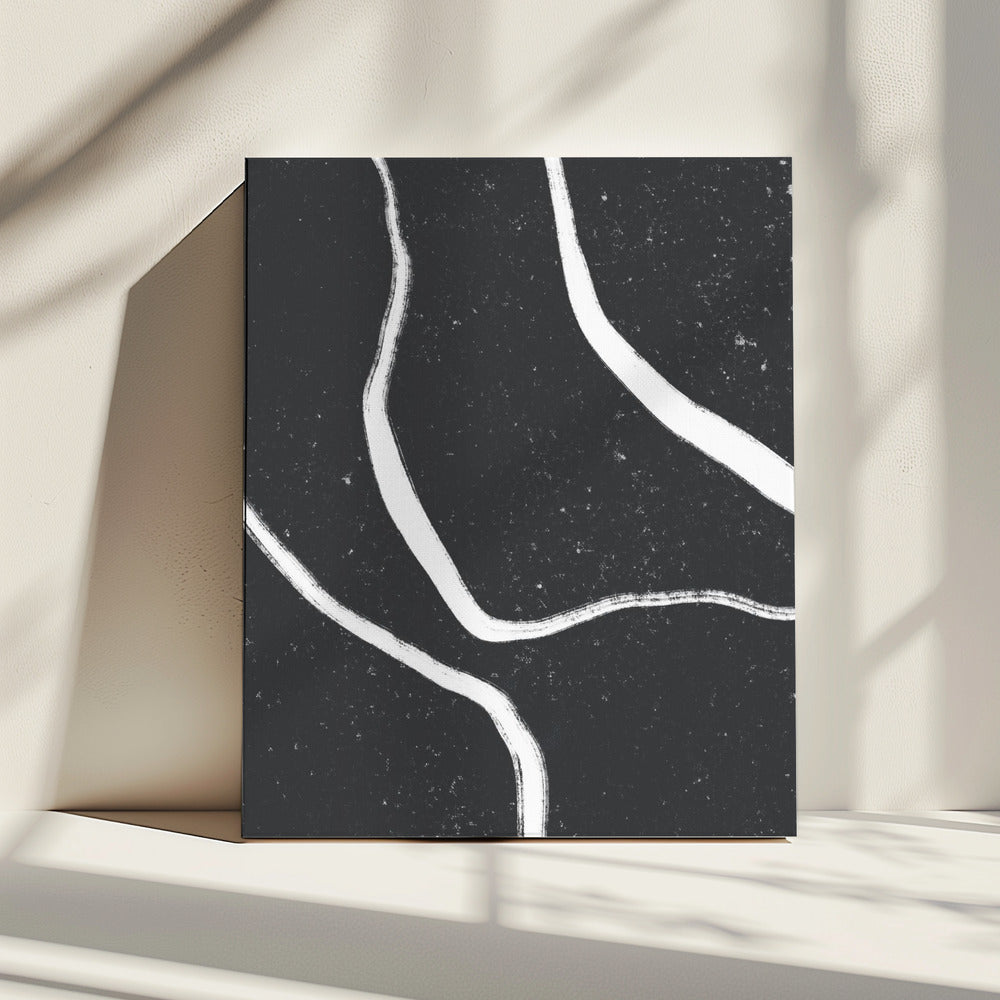 Monochrome Paths | Canvas