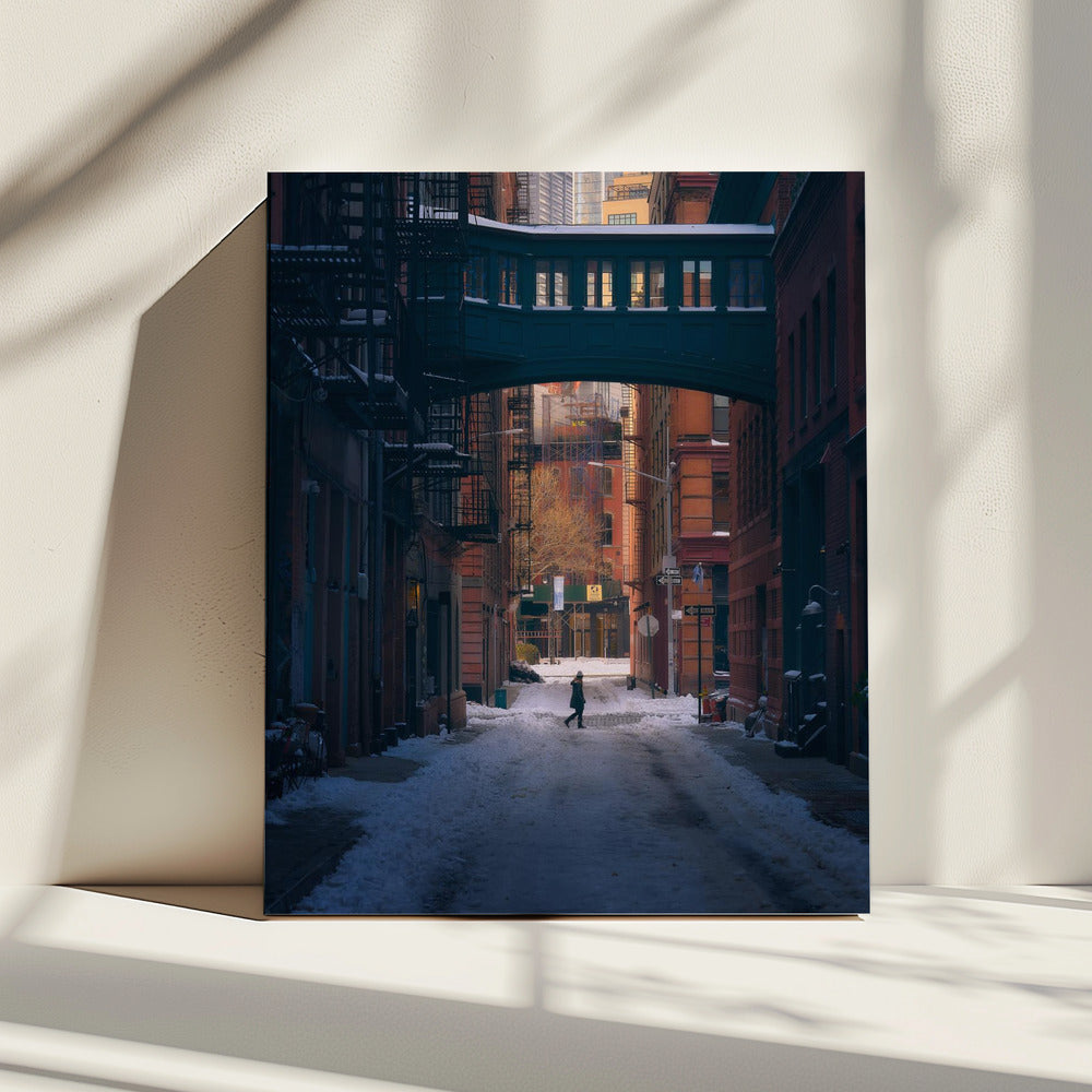 Under the Skybridge | Canvas