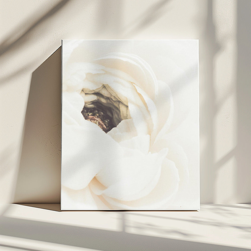 White Flower 01 | Canvas