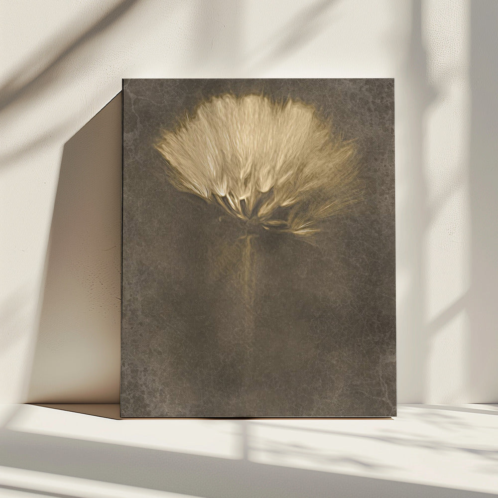 Mysterious Days | Canvas