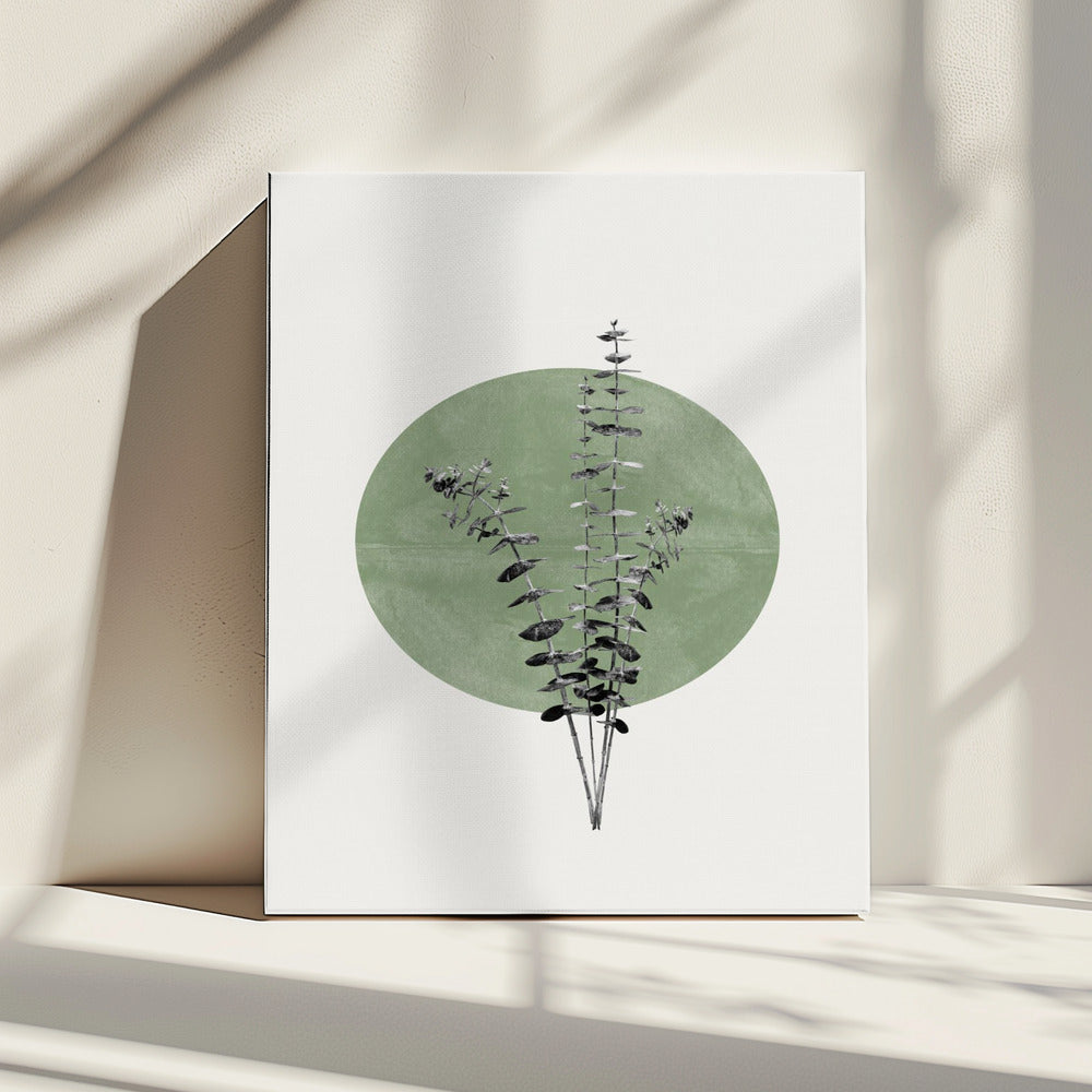 Nature&#039;s Echo | Canvas