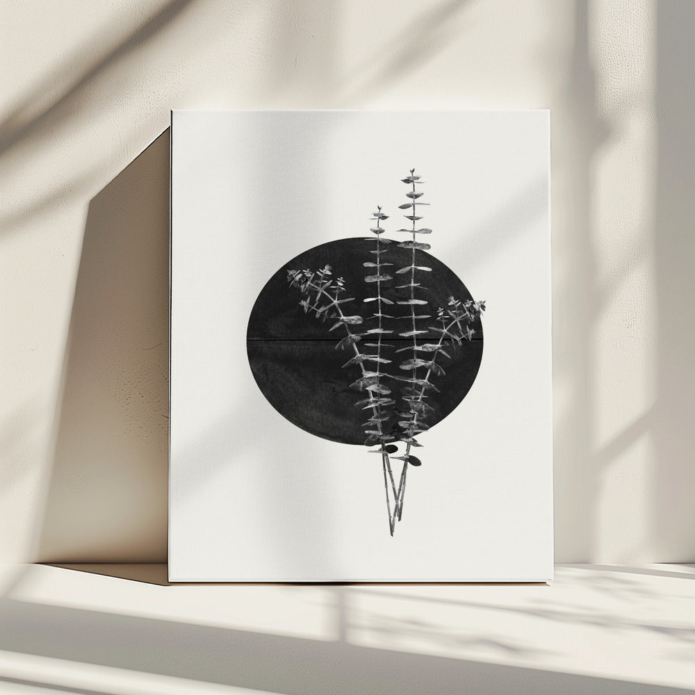 Eucalyptus Moon | Canvas