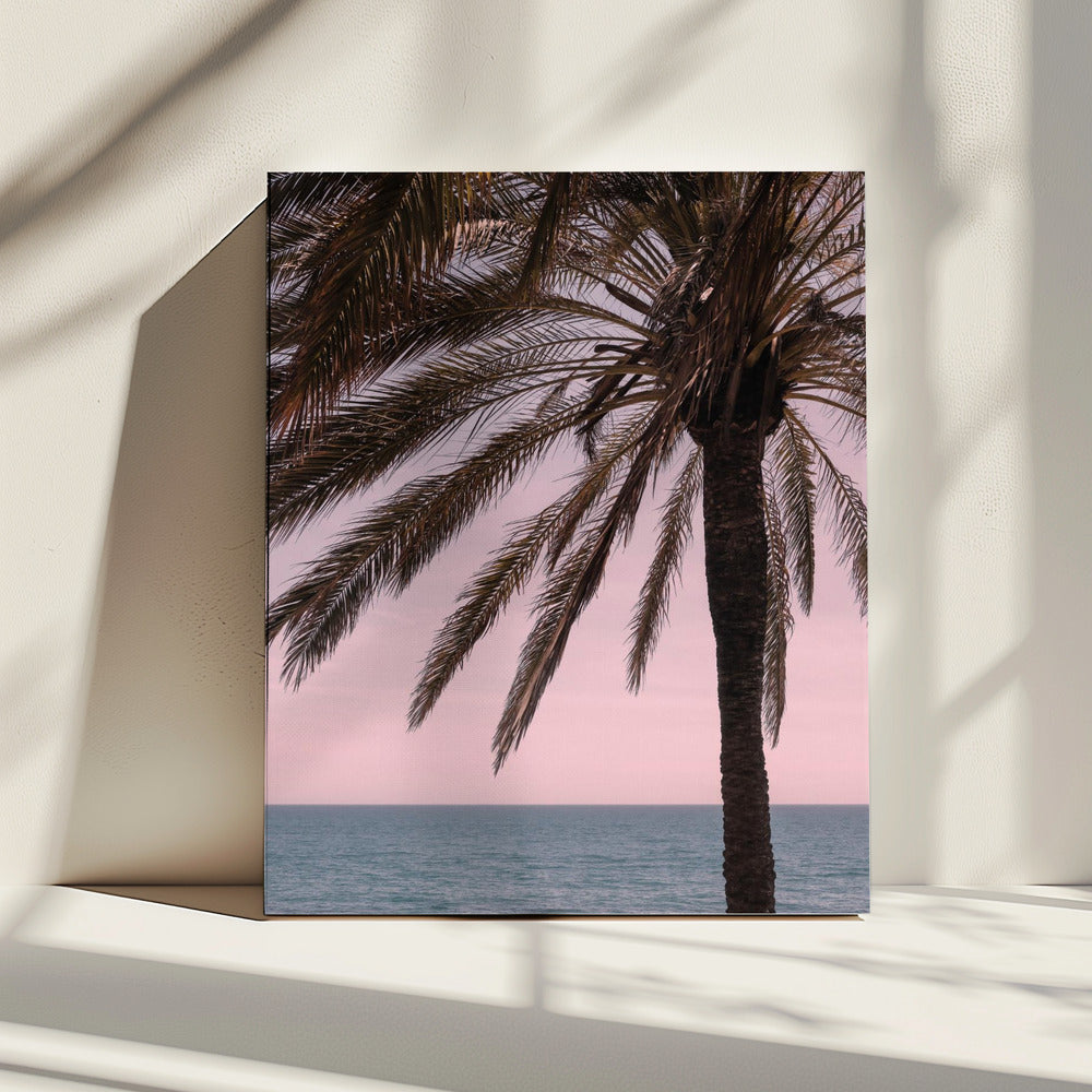 Palm_010 | Canvas