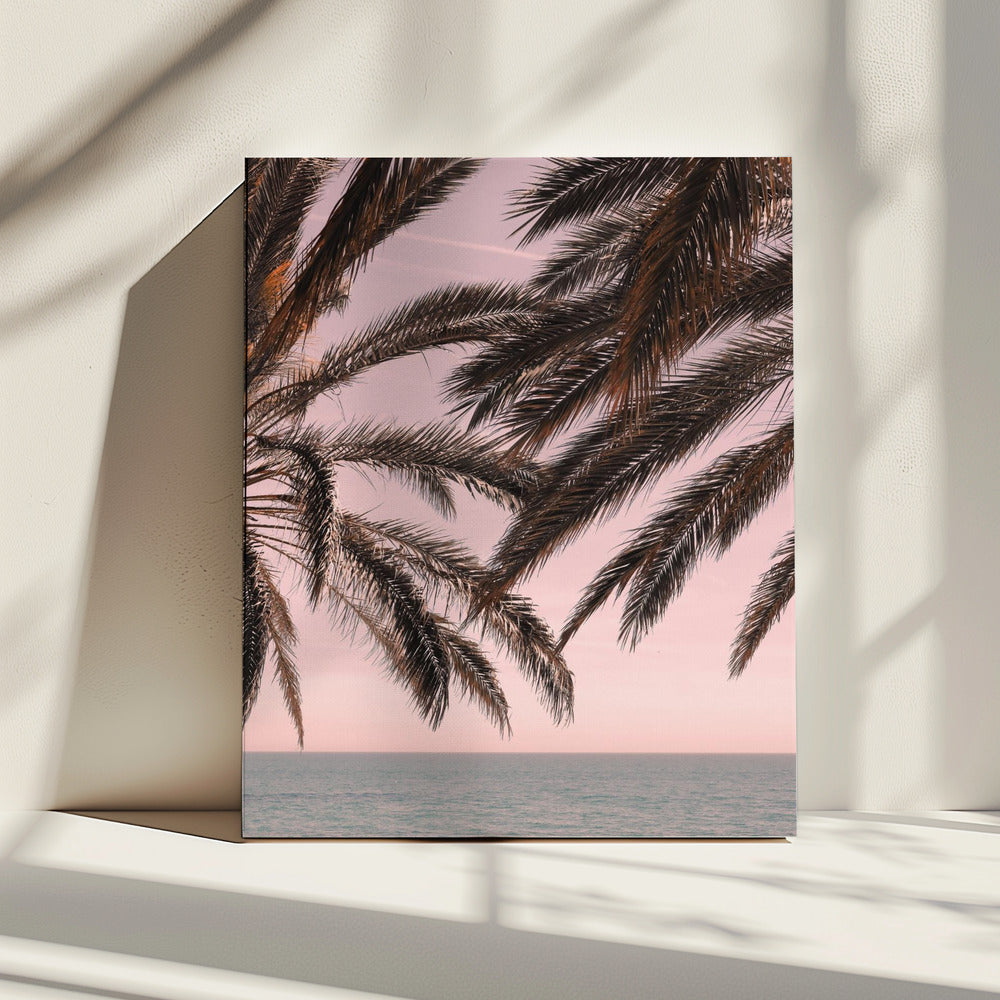 Palm_011 | Canvas