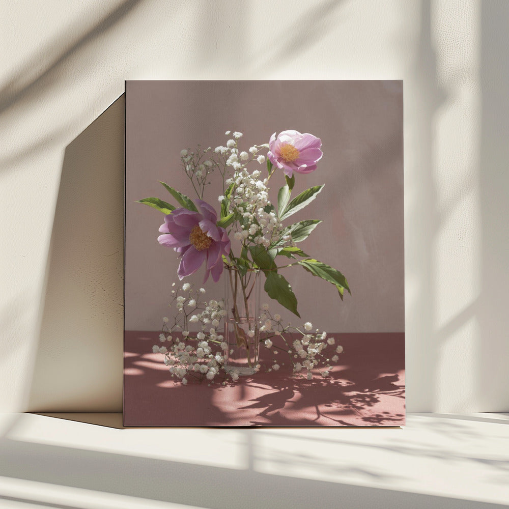 Light &amp; shadow | Canvas
