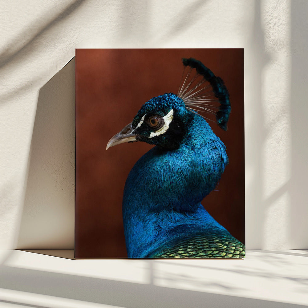 Seduction mode | Canvas