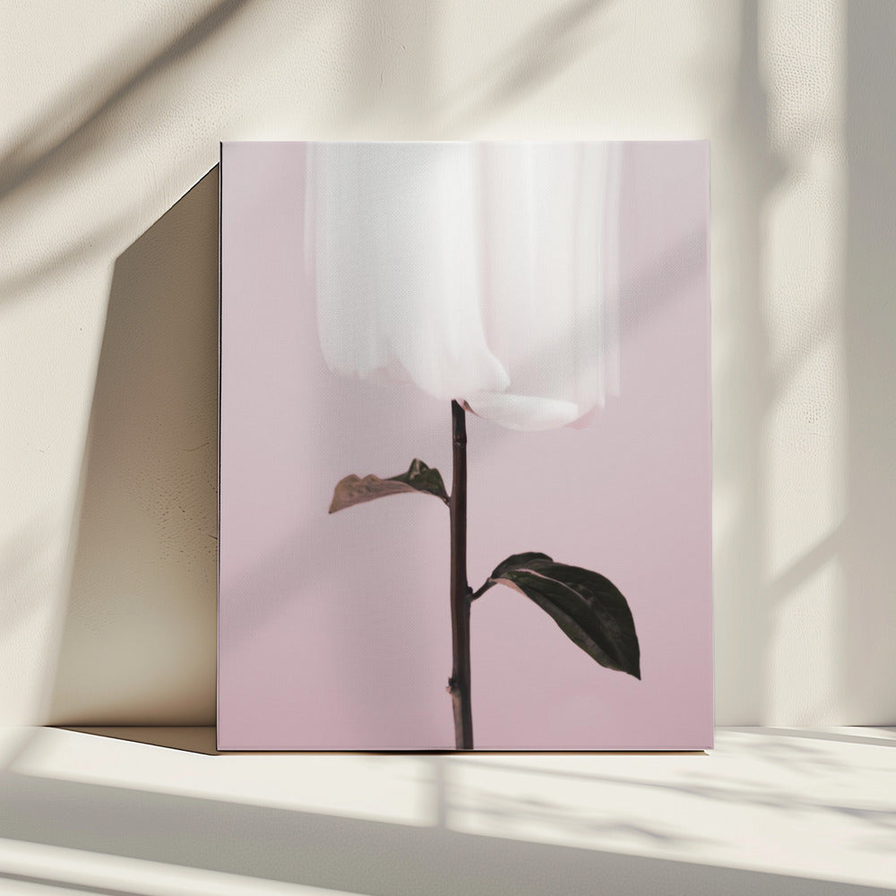 Peony 19 | Canvas