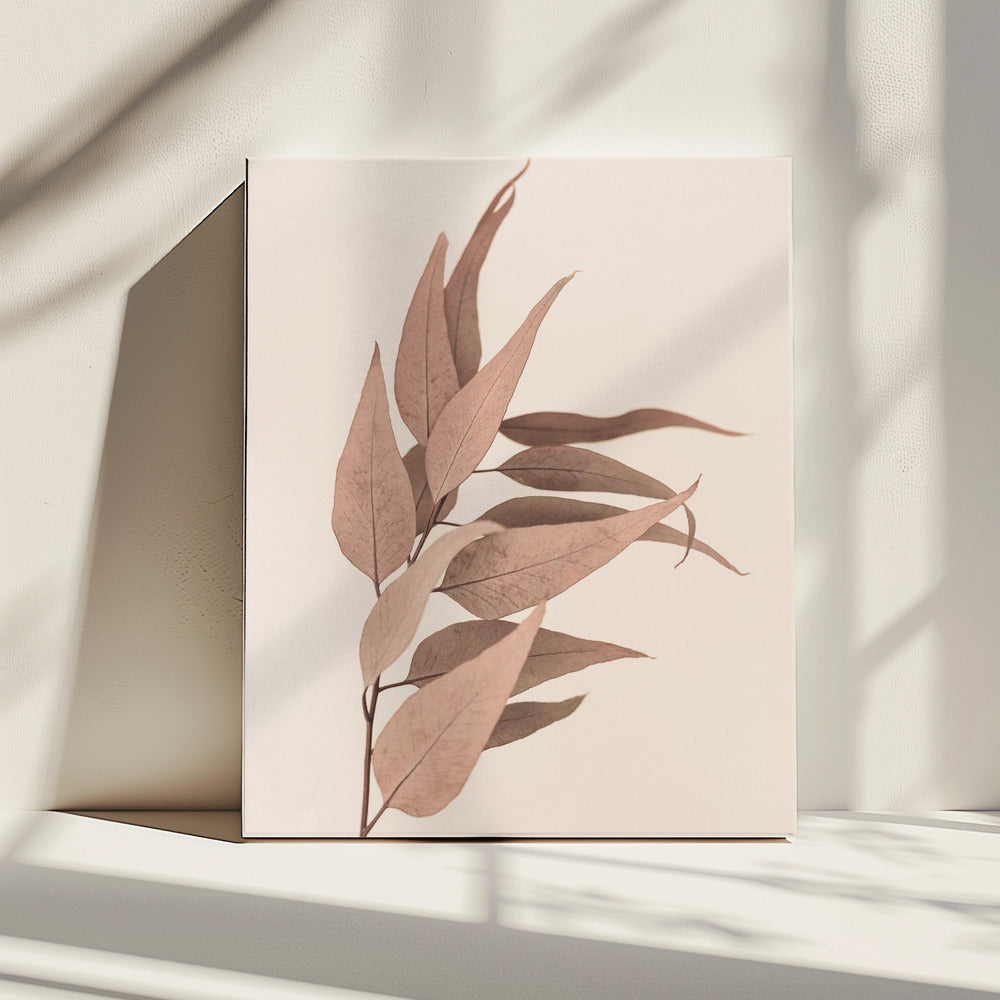 Dried Eucalyptus | Canvas