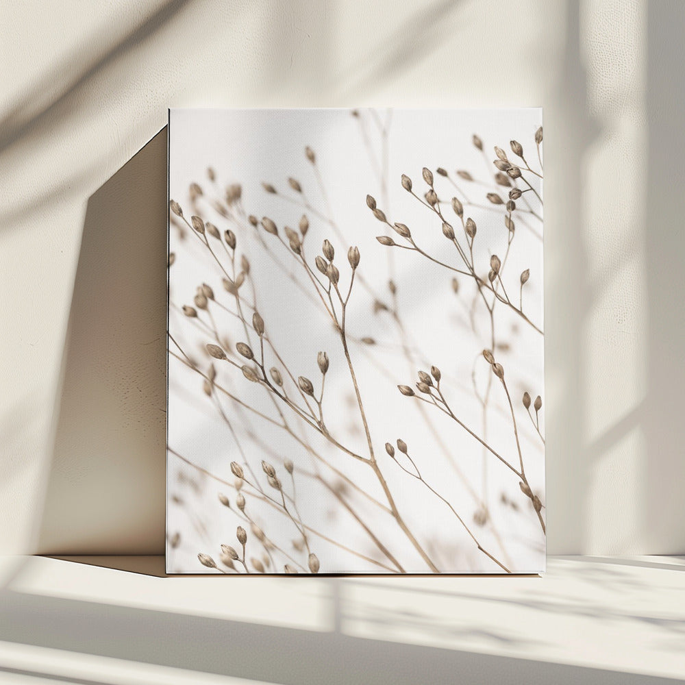 Wild Grass | Canvas