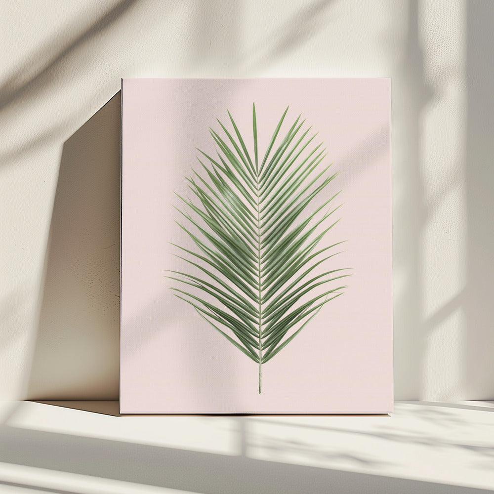 Palm Leaf Blush | Canvas